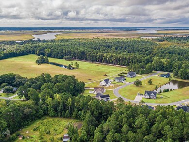 Aerial view with a water view and a forest view