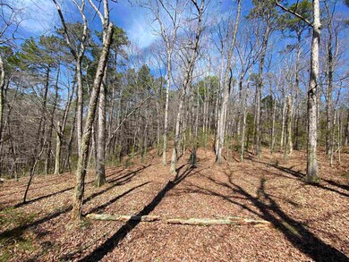 144 Old Ridge Rd, Pangburn, AR 72121 - photo 4