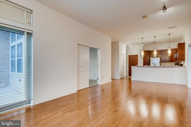 Twelve 09 unit 219, Baltimore, MD 21201 - photo 4