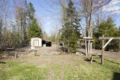 Back yard includes sheds and...