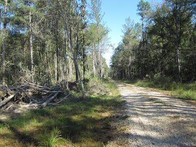 0 Highway 43, Oak Vale, MS 39656 - photo 2