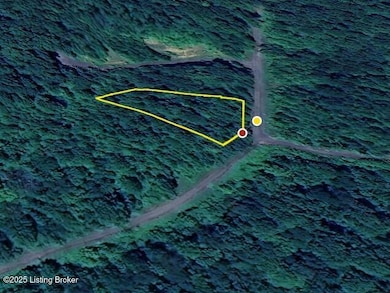 0 Ridenours Way GOOGLE AERIAL 3
