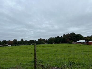 19 1st Ave, Westfield, MA 01085 - photo 4