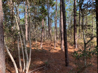 290 N High Point Rd
