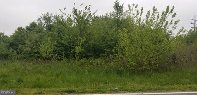 203 Road 350, Harrington, DE 19952 - photo 2