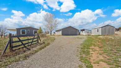 17177 Meadow Dr, Cedaredge, CO 81413 - photo 4