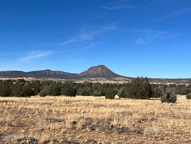 43 Tides Trail, Ash Fork, AZ 86320 - photo 5
