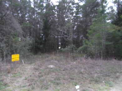 0 Seameadows Dr unit 316431, Perry, FL 32348 - photo 3