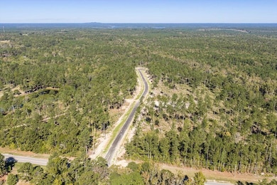 135 Beagle Chase Dr, Appling, GA 30802 - photo 6