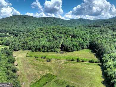 28 AC Jolley Way, Epworth, GA 30541 - photo 3