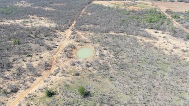 12951 County Road 129, Brownwood, TX 76801 - photo 4