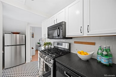 1100 E 16th Ave unit 3, Denver, CO 80218 - photo 7