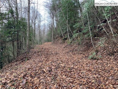 TBD Fall Creek Rd, Purlear, NC 28665 - photo 3