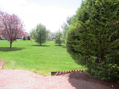 View of backyard