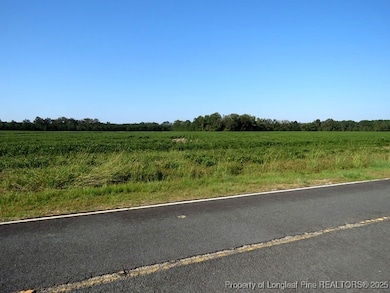 TBD Cowpen Swamp Rd, Fairmont, NC 28340 - photo 2