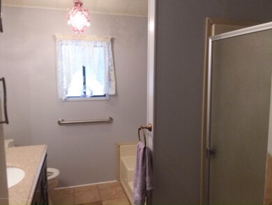 Master Bath-Tub & Shower