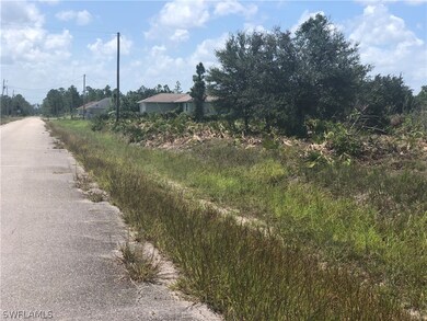 313 Wells Ave, Lehigh Acres, FL 33936 - photo 7