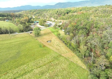 0 Hickory Hill Rd, Purgitsville, WV 26845 - photo 7