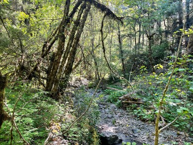 38.62 Granite Hill Rd, Grants Pass, OR 97526 - photo 6