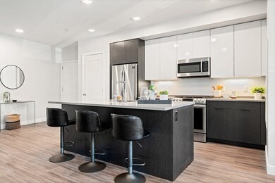 420 Harvard St unit 207, Brookline, MA 02446 - photo 2