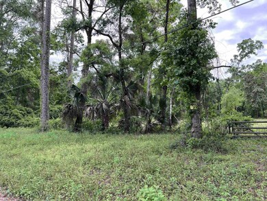 62 Appaloosa Rd, Crawfordville, FL 32327 - photo 5