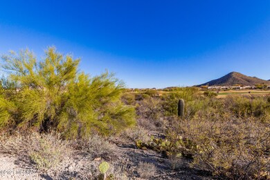 0006-Tohono Crossing 5