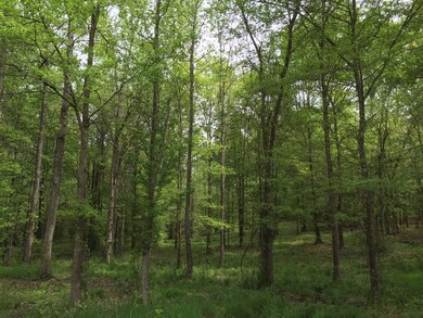 3.78 Ac Morningside Dr, Lincolnton, GA 30817 - photo 3