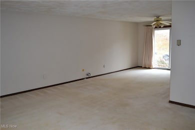 811 County Road 801, Ashland, OH 44805 - photo 6