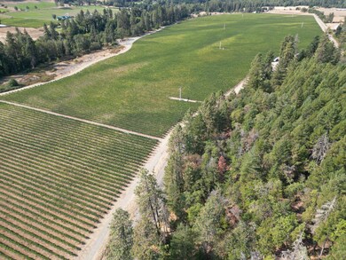 DJI_0055
