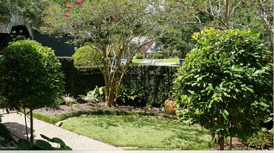 View From Front Door