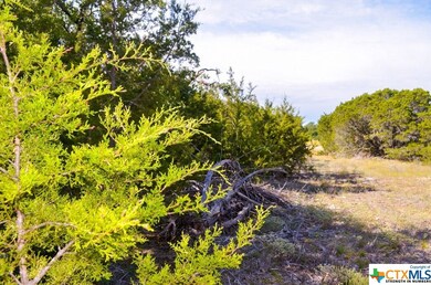 unlisted-address, Kempner, TX 76539 - photo 6