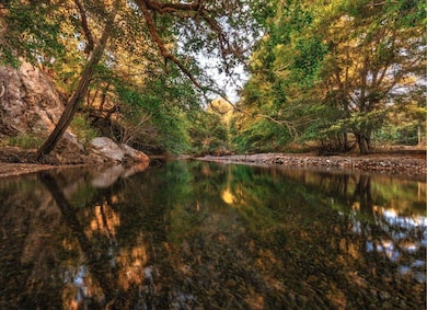 220 Wilder Ridge Rd, Honeydew, CA 95545 - photo 4