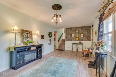 117 Morgan Ln, Fall Branch, TN 37656 - photo 6