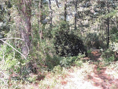 1250 S Lake Dr, Lexington, SC 29073 - photo 4