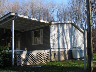 68 Savage Hollow Rd, Orangeville, PA 17859 - photo 4