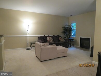 5001 Willow Branch Way unit 203, Owings Mills, MD 21117 - photo 3