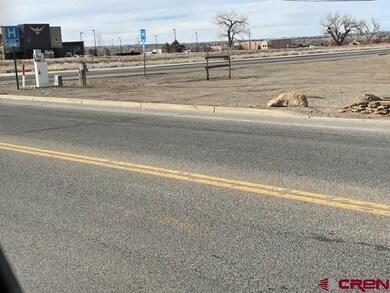 1002 E Empire St, Cortez, CO 81321 - photo 4