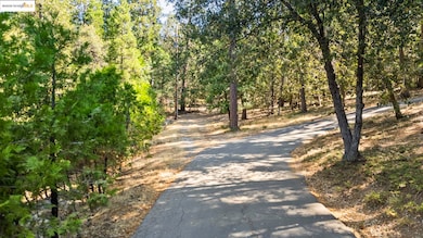 unlisted-address, Twain Harte, CA 95383 - photo 7