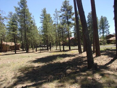 .49 of an acre