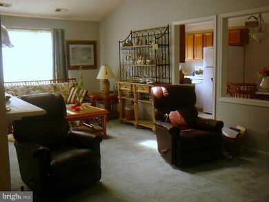 1120 Huntmaster Terrace NE unit 302, Leesburg, VA 20176 - photo 5