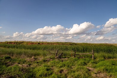 View of nature with rural landscape