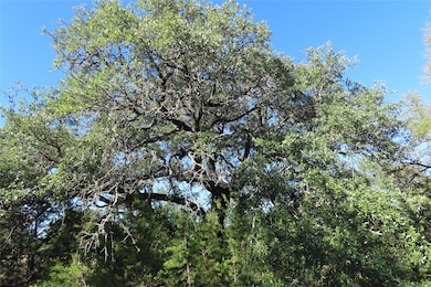 317 Little Gabriel River Dr, Liberty Hill, TX 78642 - photo 7