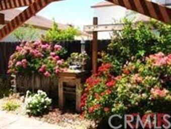 rear Patio Area