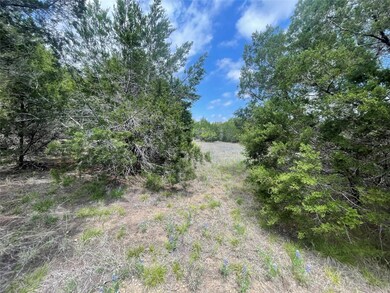 36033 Cedar Ridge Dr, Whitney, TX 76692 - photo 6