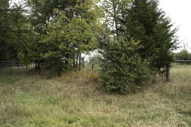 0 R E Wright Rd unit 2478409, Snow Camp, NC 27349 - photo 5