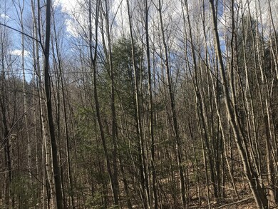 unlisted-address, Great Barrington, MA 01230 - photo 2