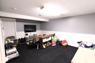 Finished Lower Level