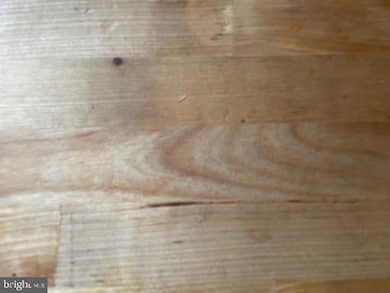 1209 Belmont Ave, Salisbury, MD 21804 - photo 5