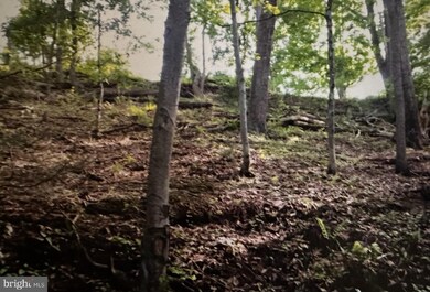 0 Mill St unit PASK2022996, Pine Grove, PA 17963 - photo 5