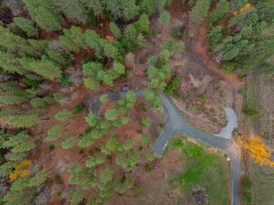 1740 Pleasant Creek Rd, Rogue River, OR 97537 - photo 4